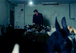 Angel S02 E15 – One ring to rule them all.